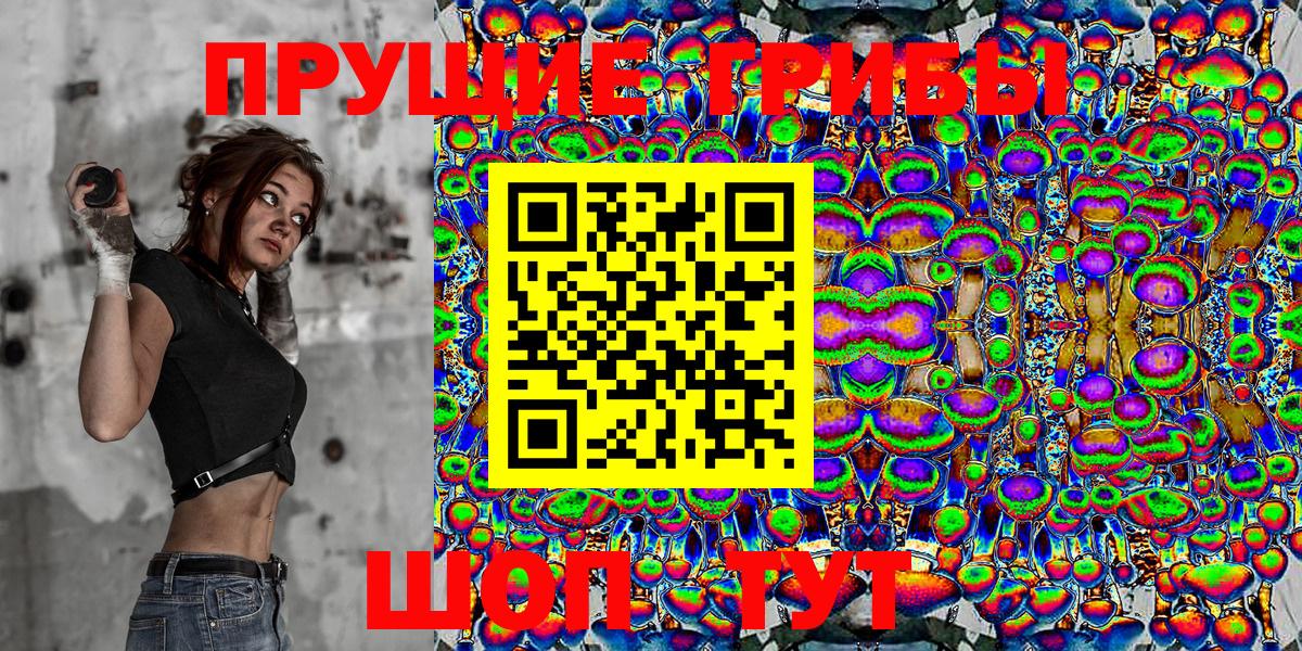 Галлюциногенные грибы Cubensis  Вход с VPN  Городец  Псилоцибиновые грибы Cubensis 