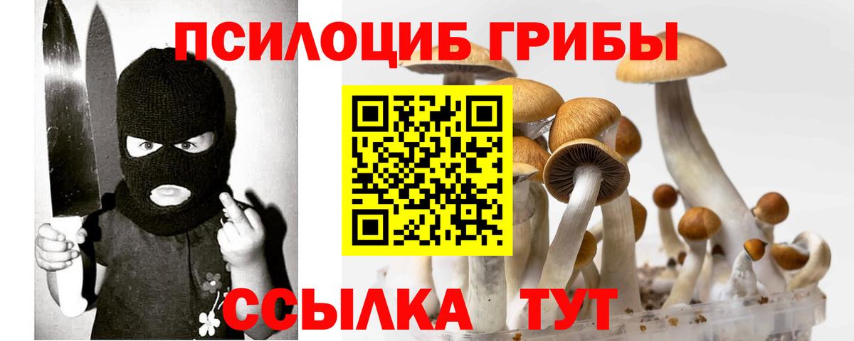 Псилоцибиновые грибы Magic Shrooms Городец